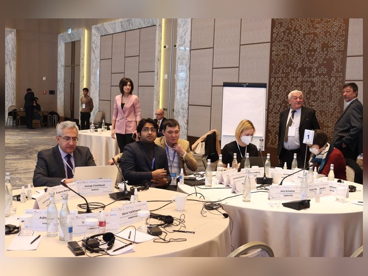 Prof. Georgi Chaltikyan at Central Asian Regional Meeting on Telemedicine