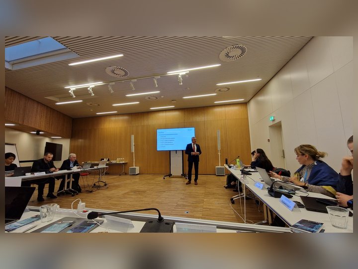 Prof. Georgi Chaltikyan during presentation at WHO Digital Health Workshop