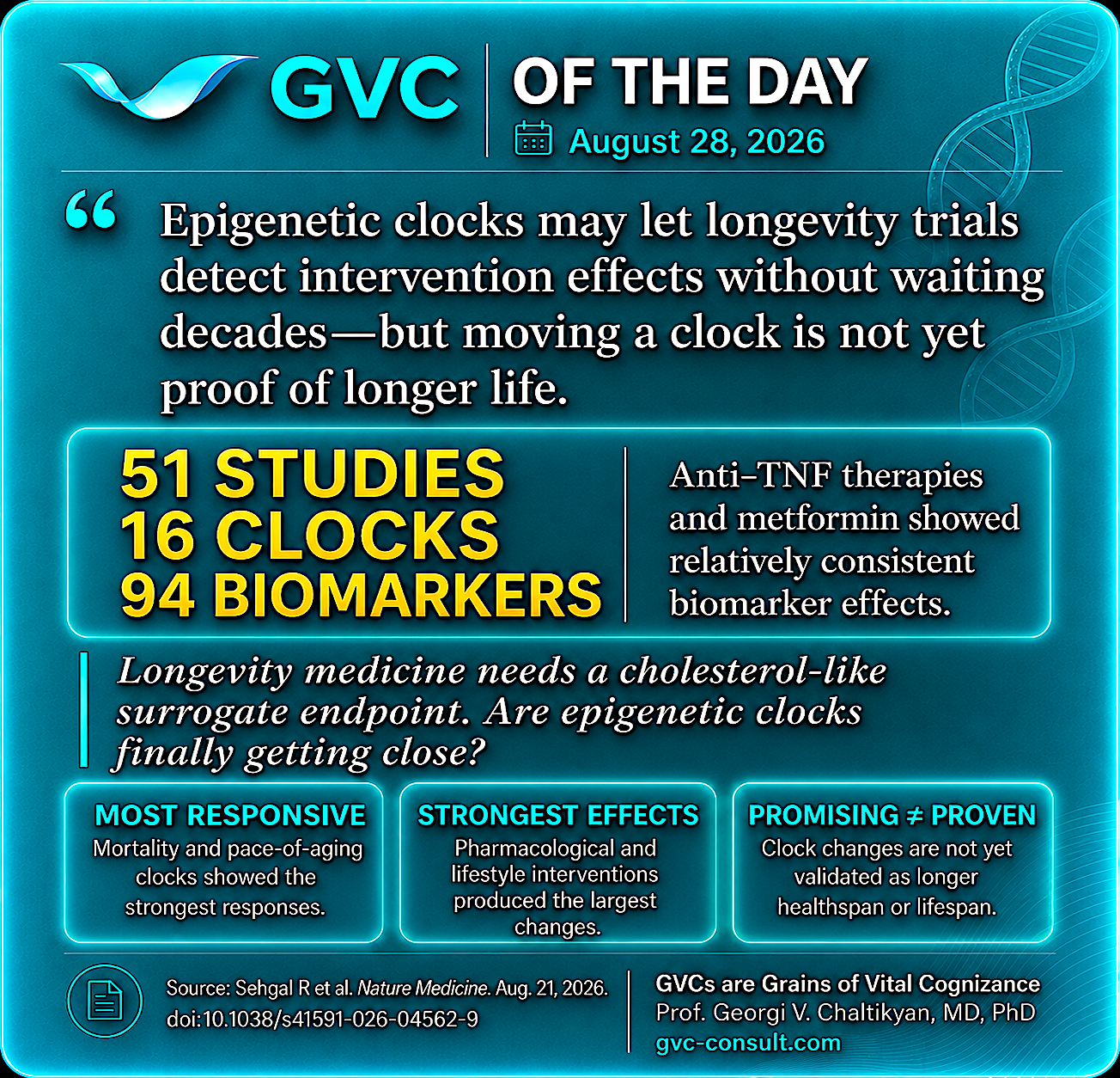 GVC of the Day, August 28, 2026: Epigenetic clocks may detect intervention effects without waiting decades, but moving a clock is not proof of longer life.