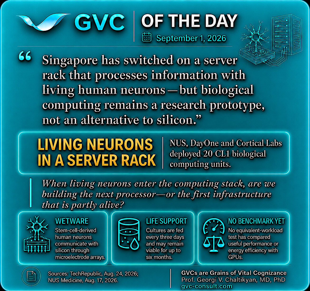 GVC of the Day, September 1, 2026: Living human neurons have entered a server-rack computing environment, but biological computing remains a research prototype.