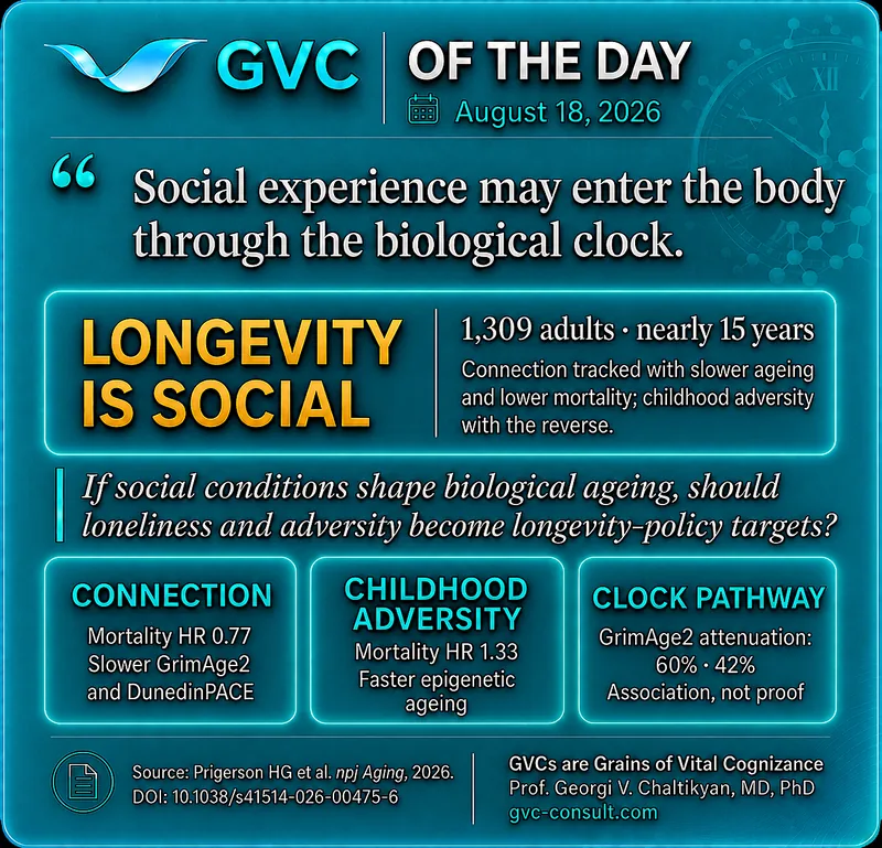 GVC of the Day, August 18, 2026: Social experience may enter the body through the biological clock.