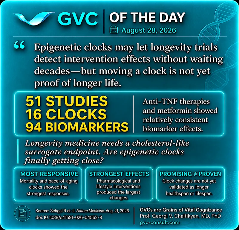 GVC of the Day, August 28, 2026: Epigenetic clocks may detect intervention effects without waiting decades, but moving a clock is not proof of longer life.
