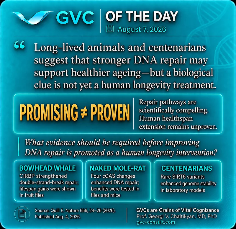 GVC of the Day, August 7, 2026: Long-lived animals and centenarians suggest that stronger DNA repair may support healthier ageing, but promising is not proven